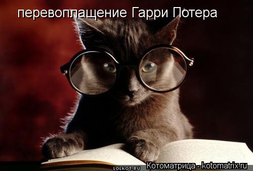 перевоплащение Гарри Потера... Котоматрица: перевоплащение Гарри Потера
