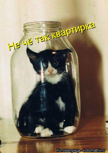 Не чё так квартирка... Котоматрица: Не чё так квартирка