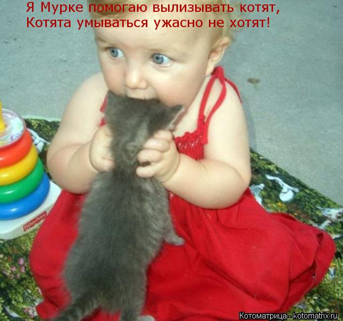Я Мурке помогаю вылизывать котят, Котята умываться ужасно не хотят!... Котоматрица: Я Мурке помогаю вылизывать котят, Котята умываться ужасно не хотят!