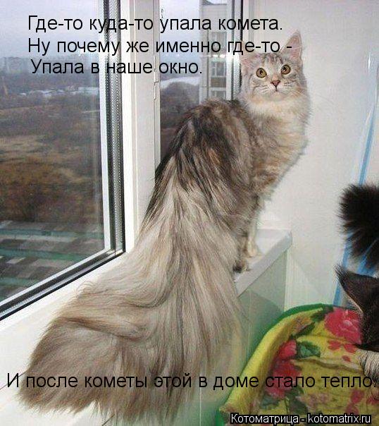 Где-то куда-то упала комета. Ну почему же именно где-то - Упала в наше окно. И после кометы этой в до... Котоматрица: Где-то куда-то упала комета. Ну почему же именно где-то - Упала в наше окно. И после кометы этой в доме стало тепло.
