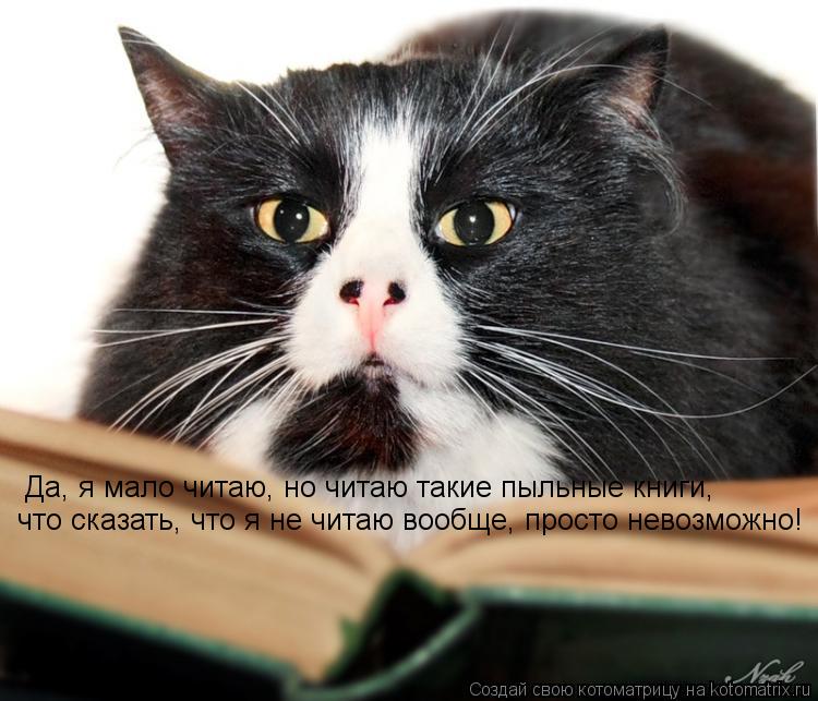 Да, я мало читаю, но читаю такие пыльные книги, что сказать, что я не читаю вообще, просто невозможно... Котоматрица: Да, я мало читаю, но читаю такие пыльные книги, что сказать, что я не читаю вообще, просто невозможно!