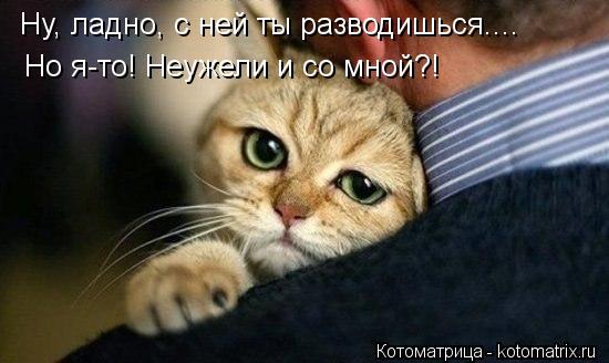 Ну, ладно, с ней ты разводишься.... Но я-то! Неужели и со мной?!... Котоматрица: Ну, ладно, с ней ты разводишься.... Но я-то! Неужели и со мной?!