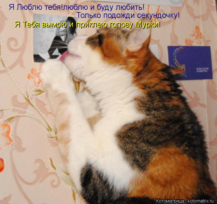 Я Люблю тебя!люблю и буду любить! Только подожди секундочку! Я Тебя вымою и приклею голову Мурки!... Котоматрица: Я Люблю тебя!люблю и буду любить! Только подожди секундочку! Я Тебя вымою и приклею голову Мурки!