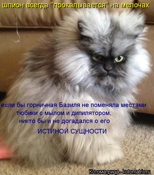 шпион всегда "прокалывается" на мелочах никто бы и не догадался о его ИСТИНОЙ СУЩНОСТИ если бы горни... Котоматрица: шпион всегда "прокалывается" на мелочах никто бы и не догадался о его ИСТИНОЙ СУЩНОСТИ если бы горничная Базиля не поменяла местами тюбики