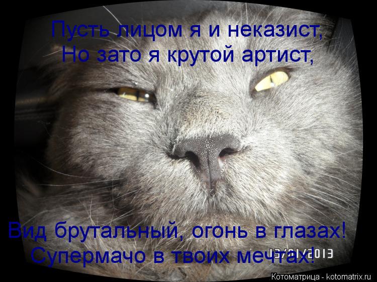 Но зато я крутой артист, Пусть лицом я и неказист, Вид брутальный, огонь в глазах! Супермачо в твоих ... Котоматрица: Но зато я крутой артист, Пусть лицом я и неказист, Вид брутальный, огонь в глазах! Супермачо в твоих мечтах!