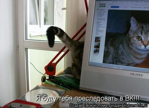 Я буду тебя преследовать в ВК!!!... Котоматрица: Я буду тебя преследовать в ВК!!!
