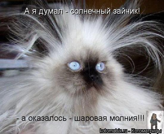 А я думал - солнечный зайчик! - а оказалось - шаровая молния!!!... Котоматрица: А я думал - солнечный зайчик! - а оказалось - шаровая молния!!!