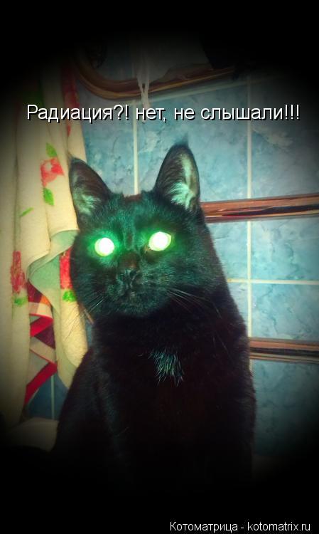 Радиация?! нет, не слышали!!!... Котоматрица: Радиация?! нет, не слышали!!!