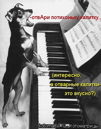 -отвАри потихоньку калитку... это вкусно?) а отварные калитки- (интересно,... Котоматрица: -отвАри потихоньку калитку... это вкусно?) а отварные калитки- (интересно,