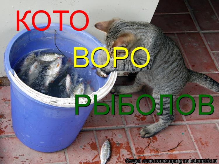 Котоматрица: КОТО КОТО ВОРО РЫБОЛОВ