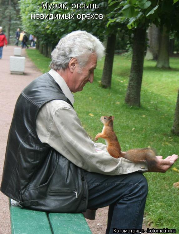 Мужик, отсыпь невидимых орехов... Котоматрица: Мужик, отсыпь невидимых орехов