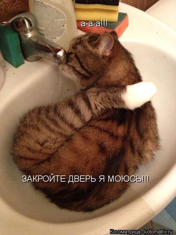 Котоматрица: а-а-а!!!  ЗАКРОЙТЕ ДВЕРЬ Я МОЮСЬ!!!