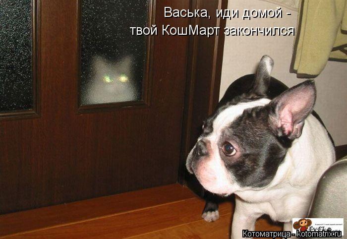 Васька, иди домой - твой КошМарт закончился... Котоматрица: Васька, иди домой - твой КошМарт закончился
