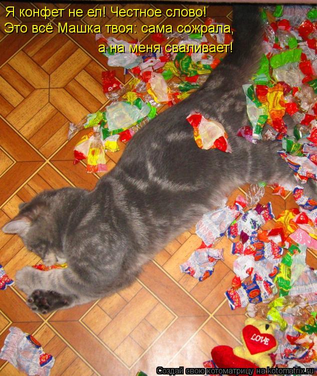 Котоматрица: Я конфет не ел! Честное слово! Это всё Машка твоя: сама сожрала, а на меня сваливает!