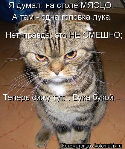 Я думал: на столе МЯСЦО, А там - одна головка лука. Нет, правда, это НЕ СМЕШНО; Теперь сижу тут... Бу... Котоматрица: Я думал: на столе МЯСЦО, А там - одна головка лука. Нет, правда, это НЕ СМЕШНО; Теперь сижу тут... Бука букой.