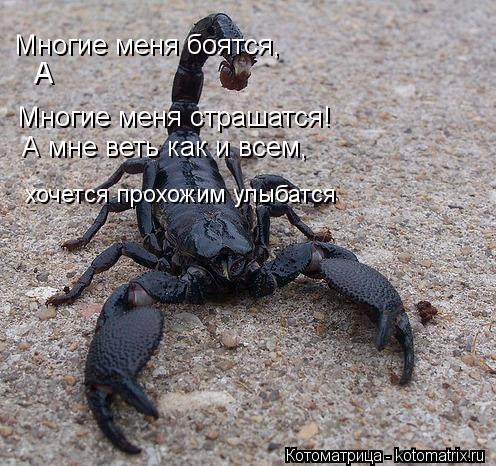 Многие меня боятся, Многие меня страшатся! А мне веть как и всем, хочется прохожим улыбатся А... Котоматрица: Многие меня боятся, Многие меня страшатся! А мне веть как и всем, хочется прохожим улыбатся А