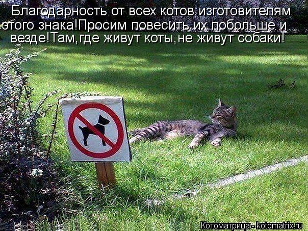 Благодарность от всех котов изготовителям этого знака!Просим повесить их побольше и везде!Там,где ж... Котоматрица: Благодарность от всех котов изготовителям этого знака!Просим повесить их побольше и везде!Там,где живут коты,не живут собаки!