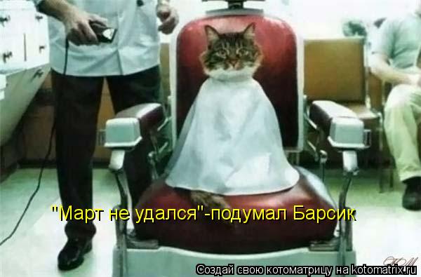 "Март не удался"-подумал Барсик... Котоматрица: "Март не удался"-подумал Барсик
