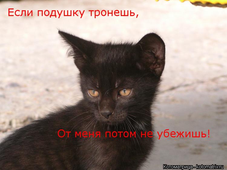 Котоматрица: Если подушку тронешь, От меня потом не убежишь!