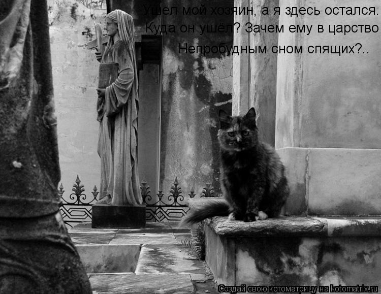 Ушёл мой хозяин, а я здесь остался. Непробудным сном спящих?.. Куда он ушёл? Зачем ему в царство... Котоматрица: Ушёл мой хозяин, а я здесь остался. Непробудным сном спящих?.. Куда он ушёл? Зачем ему в царство