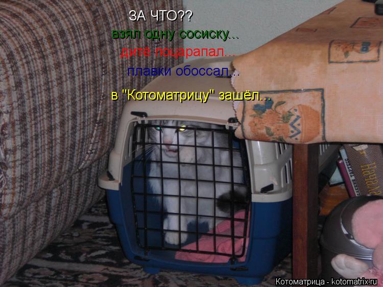 ЗА ЧТО?? взял одну сосиску... дитё поцарапал... плавки обоссал... в "Котоматрицу" зашёл...... Котоматрица: ЗА ЧТО?? взял одну сосиску... дитё поцарапал... плавки обоссал... в "Котоматрицу" зашёл...
