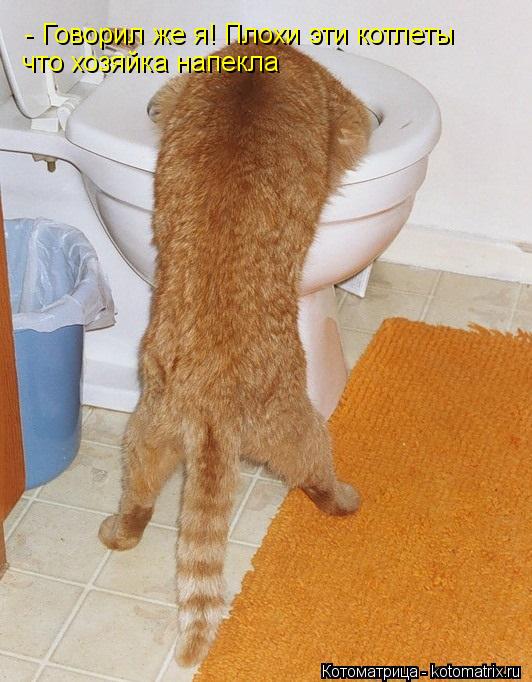 - Говорил же я! Плохи эти котлеты что хозяйка напекла... Котоматрица: - Говорил же я! Плохи эти котлеты что хозяйка напекла