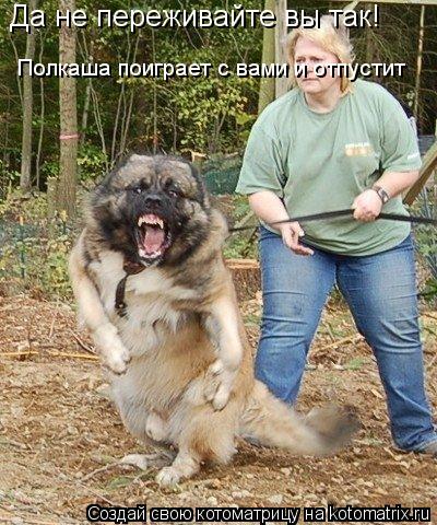 Да не переживайте вы так! Полкаша поиграет с вами и отпустит... Котоматрица: Да не переживайте вы так! Полкаша поиграет с вами и отпустит