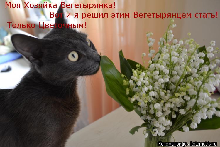 Моя Хозяйка Вегетырянка! Вот и я решил этим Вегетырянцем стать! Только Цветочным!... Котоматрица: Моя Хозяйка Вегетырянка! Вот и я решил этим Вегетырянцем стать! Только Цветочным!