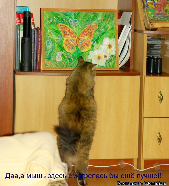 Даа,а мышь здесь смотрелась бы ещё лучше!!!... Котоматрица: Даа,а мышь здесь смотрелась бы ещё лучше!!!