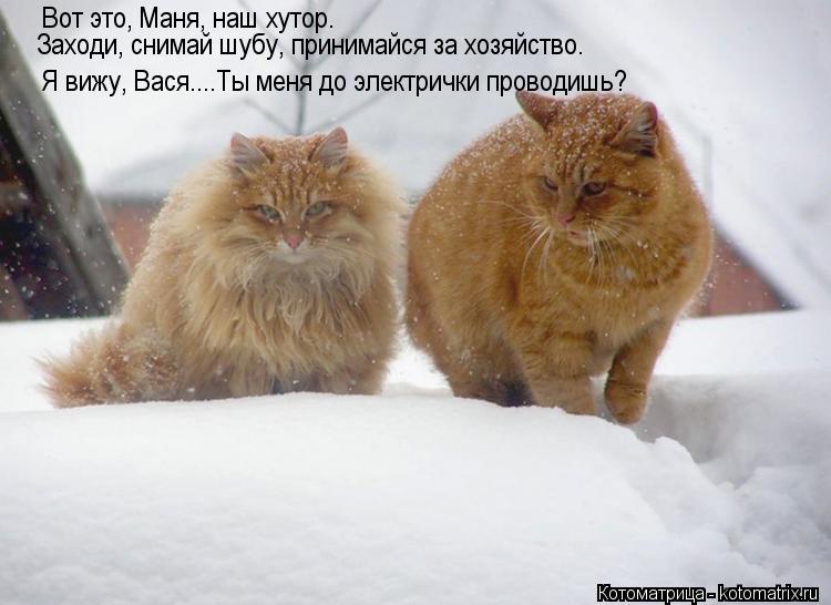 Вот это, Маня, наш хутор. Заходи, снимай шубу, принимайся за хозяйство. Я вижу, Вася....Ты меня до эл... Котоматрица: Вот это, Маня, наш хутор. Заходи, снимай шубу, принимайся за хозяйство. Я вижу, Вася....Ты меня до электрички проводишь?