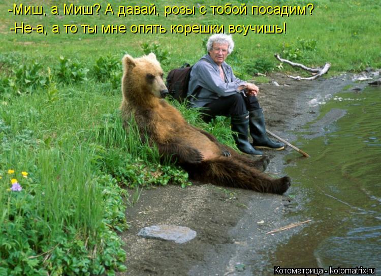 -Миш, а Миш? А давай, розы с тобой посадим? -Не-а, а то ты мне опять корешки всучишь!... Котоматрица: -Миш, а Миш? А давай, розы с тобой посадим? -Не-а, а то ты мне опять корешки всучишь!