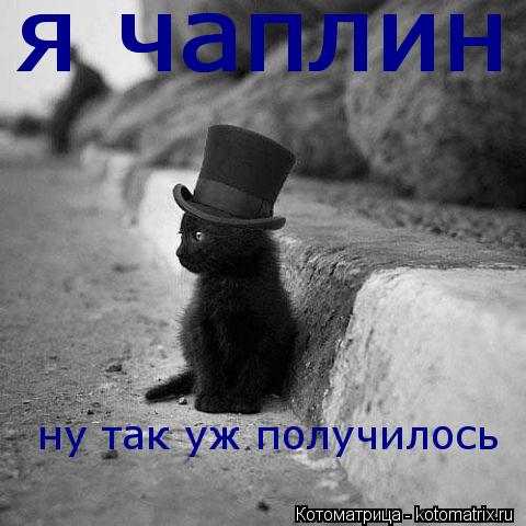 я чаплин я чаплин ну так уж получилось... Котоматрица: я чаплин я чаплин ну так уж получилось