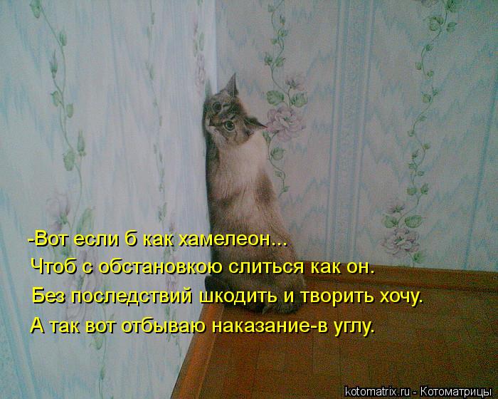 Чтоб с обстановкою слиться как он. -Вот если б как хамелеон... Без последствий шкодить и творить хочу... Котоматрица: Чтоб с обстановкою слиться как он. -Вот если б как хамелеон... Без последствий шкодить и творить хочу. А так вот отбываю наказание-в углу.