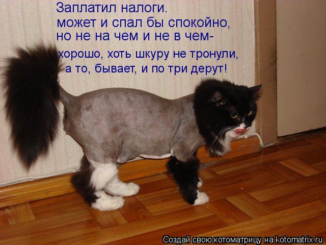 может и спал бы спокойно, но не на чем и не в чем- а то, бывает, и по три дерут! хорошо, хоть шкуру н... Котоматрица: может и спал бы спокойно, но не на чем и не в чем- а то, бывает, и по три дерут! хорошо, хоть шкуру не тронули, Заплатил налоги.