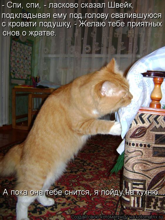 - Спи, спи, - ласково сказал Швейк, подкладывая ему под голову свалившуюся с кровати подушку, - Жела... Котоматрица: - Спи, спи, - ласково сказал Швейк, подкладывая ему под голову свалившуюся с кровати подушку, - Желаю тебе приятных снов о жратве. А пока она т