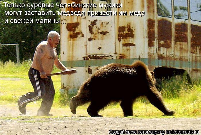 Только суровые челябинские мужики могут заставить медведя принести им меда и свежей малины...... Котоматрица: Только суровые челябинские мужики могут заставить медведя принести им меда и свежей малины...