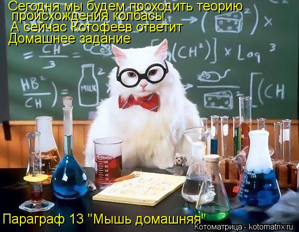 Котоматрица: Сегодня мы будем проходить теорию происхождения колбасы А сейчас Котофеев ответит Домашнее задание Параграф 13 "Мышь домашняя"