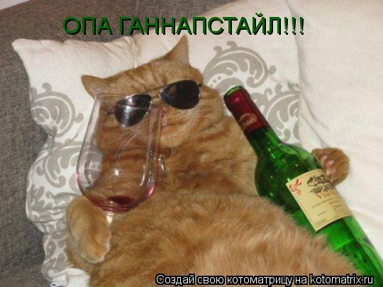 ОПА ГАННАПСТАЙЛ!!!... Котоматрица: ОПА ГАННАПСТАЙЛ!!!