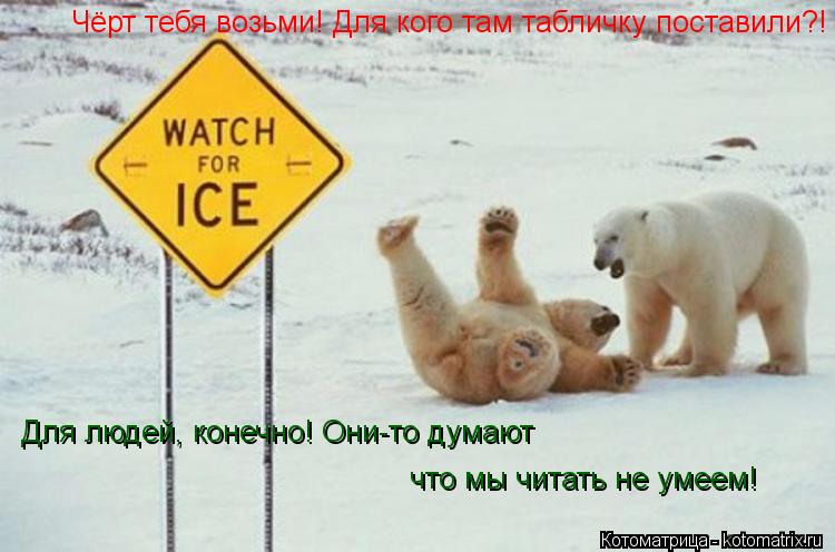 Котоматрица: Чёрт тебя возьми! Для кого там табличку поставили?! Для людей, конечно! Они-то думают что мы читать не умеем!