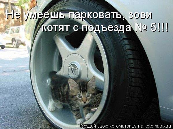 Не умеешь парковать, зови котят с подъезда № 5!!!... Котоматрица: Не умеешь парковать, зови котят с подъезда № 5!!!