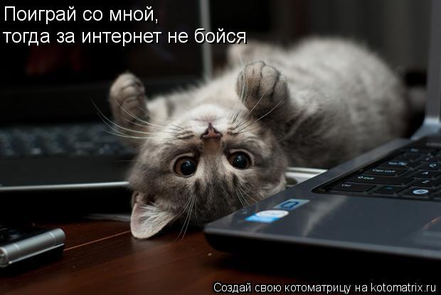 Поиграй со мной, тогда за интернет не бойся... Котоматрица: Поиграй со мной, тогда за интернет не бойся