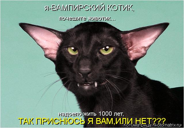 я-ВАМПИРСКИЙ КОТИК, почешите животик... надоело жить 1000 лет, ТАК ПРИСНЮСЬ Я ВАМ,ИЛИ НЕТ???... Котоматрица: я-ВАМПИРСКИЙ КОТИК, почешите животик... надоело жить 1000 лет, ТАК ПРИСНЮСЬ Я ВАМ,ИЛИ НЕТ???