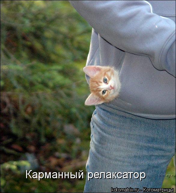 Карманный релаксатор... Котоматрица: Карманный релаксатор