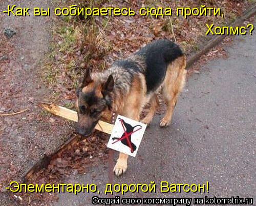-Как вы собираетесь сюда пройти, Холмс? -Элементарно, дорогой Ватсон!... Котоматрица: -Как вы собираетесь сюда пройти, Холмс? -Элементарно, дорогой Ватсон!