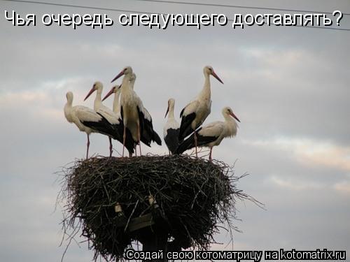 Чья очередь следующего доставлять?... Котоматрица: Чья очередь следующего доставлять?