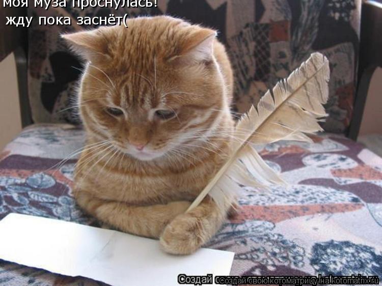 моя муза проснулась! жду пока заснёт(... Котоматрица: моя муза проснулась! жду пока заснёт(
