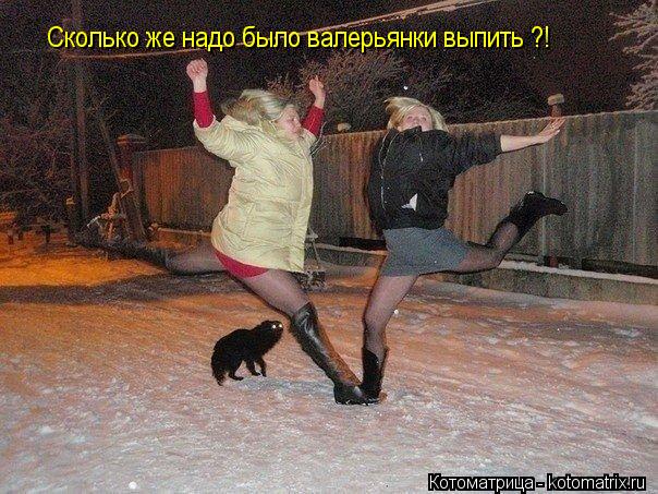 Сколько же надо было валерьянки выпить ?!... Котоматрица: Сколько же надо было валерьянки выпить ?!