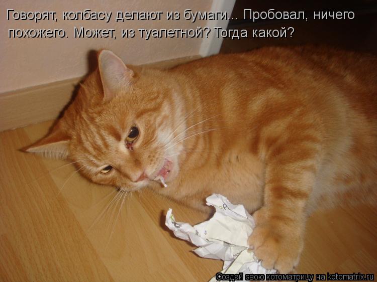 похожего. Может, из туалетной? Тогда какой? Говорят, колбасу делают из бумаги... Пробовал, ничего... Котоматрица: похожего. Может, из туалетной? Тогда какой? Говорят, колбасу делают из бумаги... Пробовал, ничего