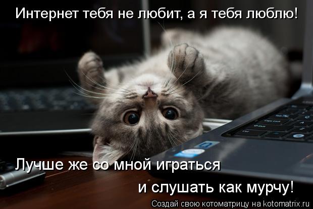 Интернет тебя не любит, а я тебя люблю! Лучше же со мной играться и слушать как мурчу!... Котоматрица: Интернет тебя не любит, а я тебя люблю! Лучше же со мной играться и слушать как мурчу!