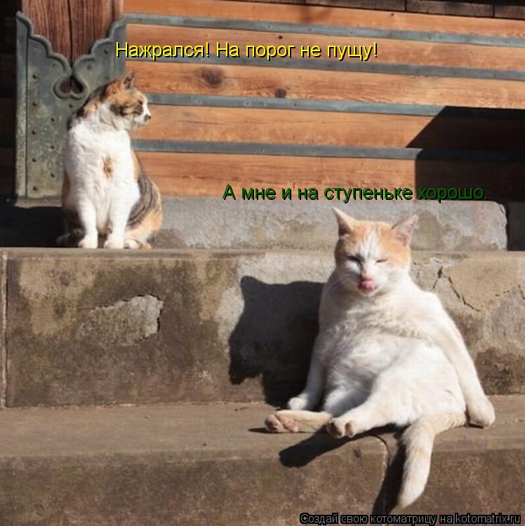Нажрался! На порог не пущу! А мне и на ступеньке хорошо.... Котоматрица: Нажрался! На порог не пущу! А мне и на ступеньке хорошо.